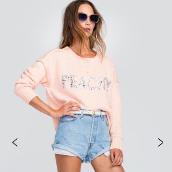 NWT Wildfox “Peachy” Marlon Sweater S,M - Picture 2 of 8